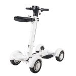 2000W Folding Golf Mobility Scooter With Seat &Umbrella