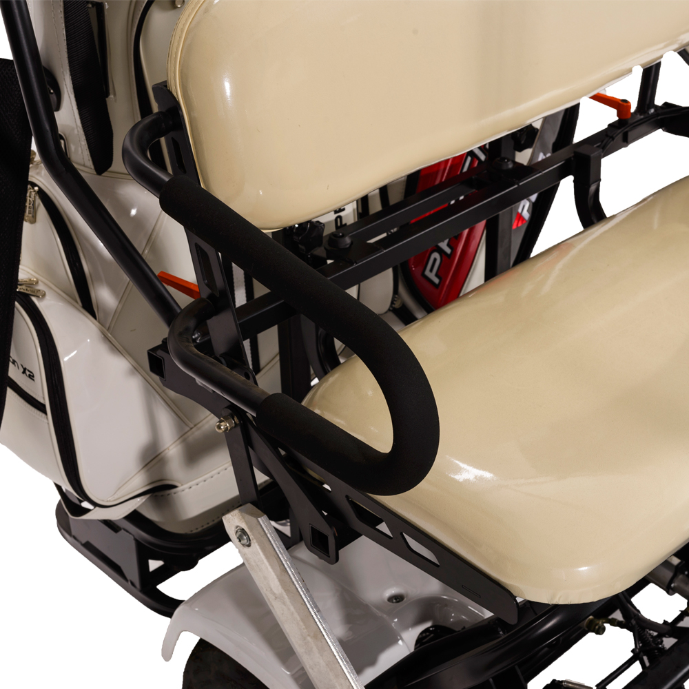 Aeswgof warehouse golf carts
