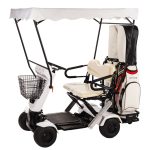 Top White Golf Cart – Powerful & Affordable Ride