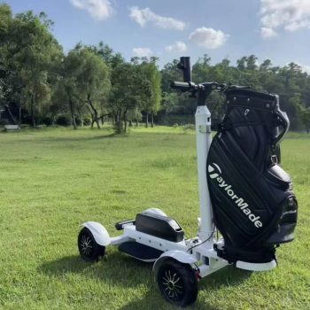 Aeswgof Teedrive G3 Golf Cart