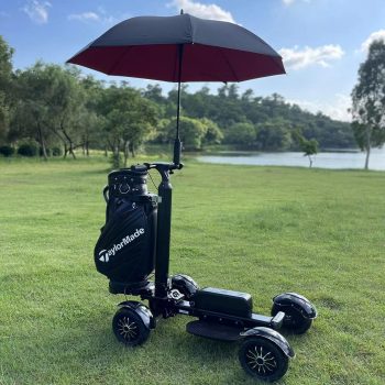 Aeswgof Teedrive G3 Golf Cart