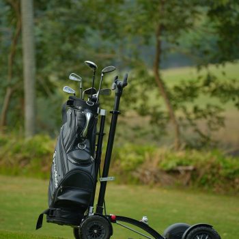 Aeswgof 4-wheel golf scooter | Trolley