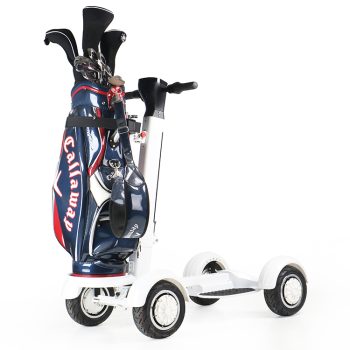 Aeswgof Teedrive G1 4-wheel golf cart