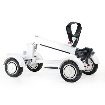 Aeswgof Teedrive G1 4-wheel golf cart
