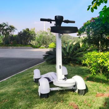 Aeswgof Teedrive G1 4-wheel golf cart