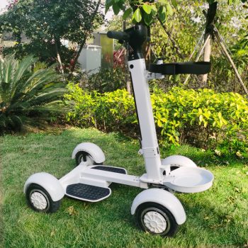 Aeswgof Teedrive G1 4-wheel golf cart
