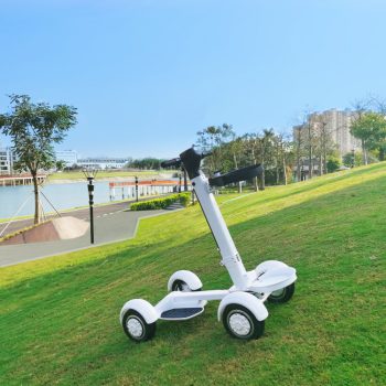 Aeswgof Teedrive G1 4-wheel golf cart