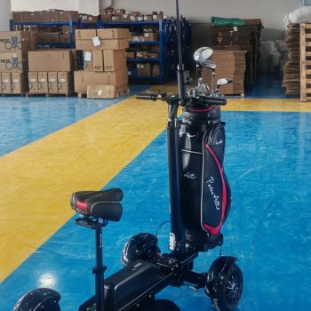 Aeswgof Teedrive G3 golf scooter